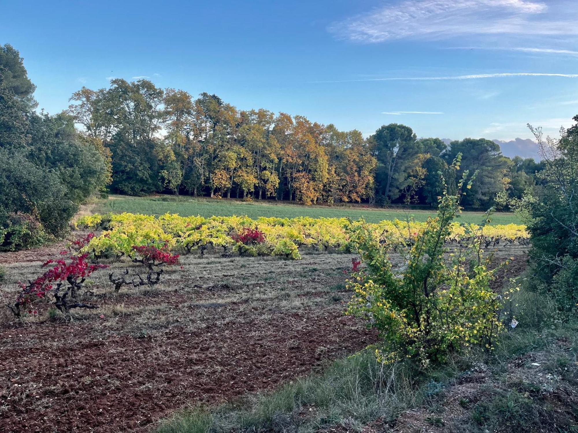 Maison Provencale Au Calme De La Campagne Avec Jacuzzi 엑상프로방스 외부 사진